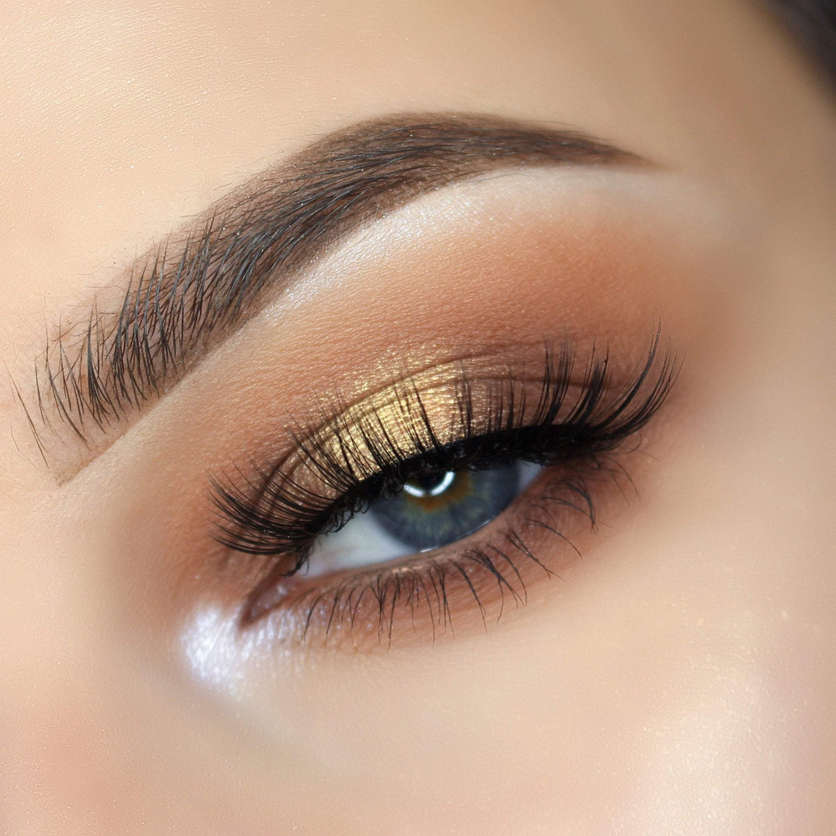 Eyeshadow Palettes – Jolie Beauty